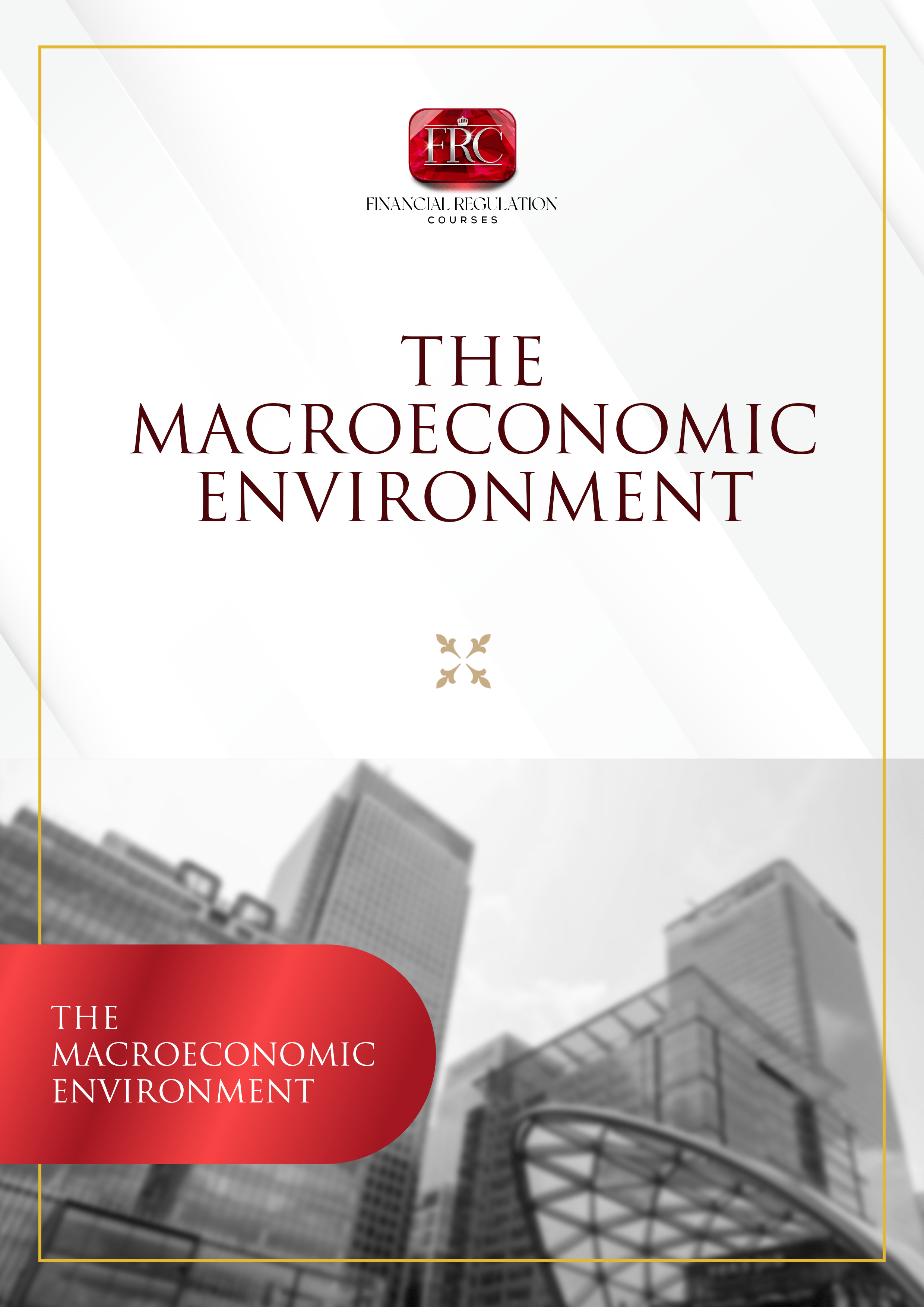 The Macroeconomic Environment